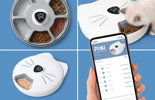 Catit Pixi Smart 6 Meal Feeder, Easy to use, Schedule feedings via the app - product image 2