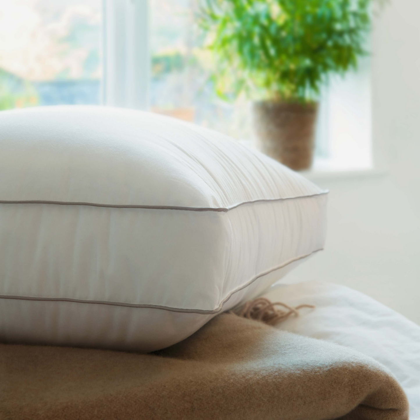 Deluxe Down Alternative Box Side Sleeper Pillow 24x16x3 inch