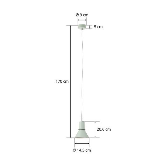 Type 80 Pendant Light - Pistachio green
