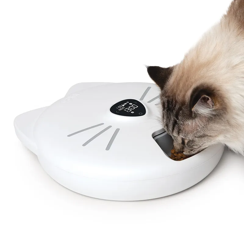Pixi Smart 6 Meal Feeder | App controlled